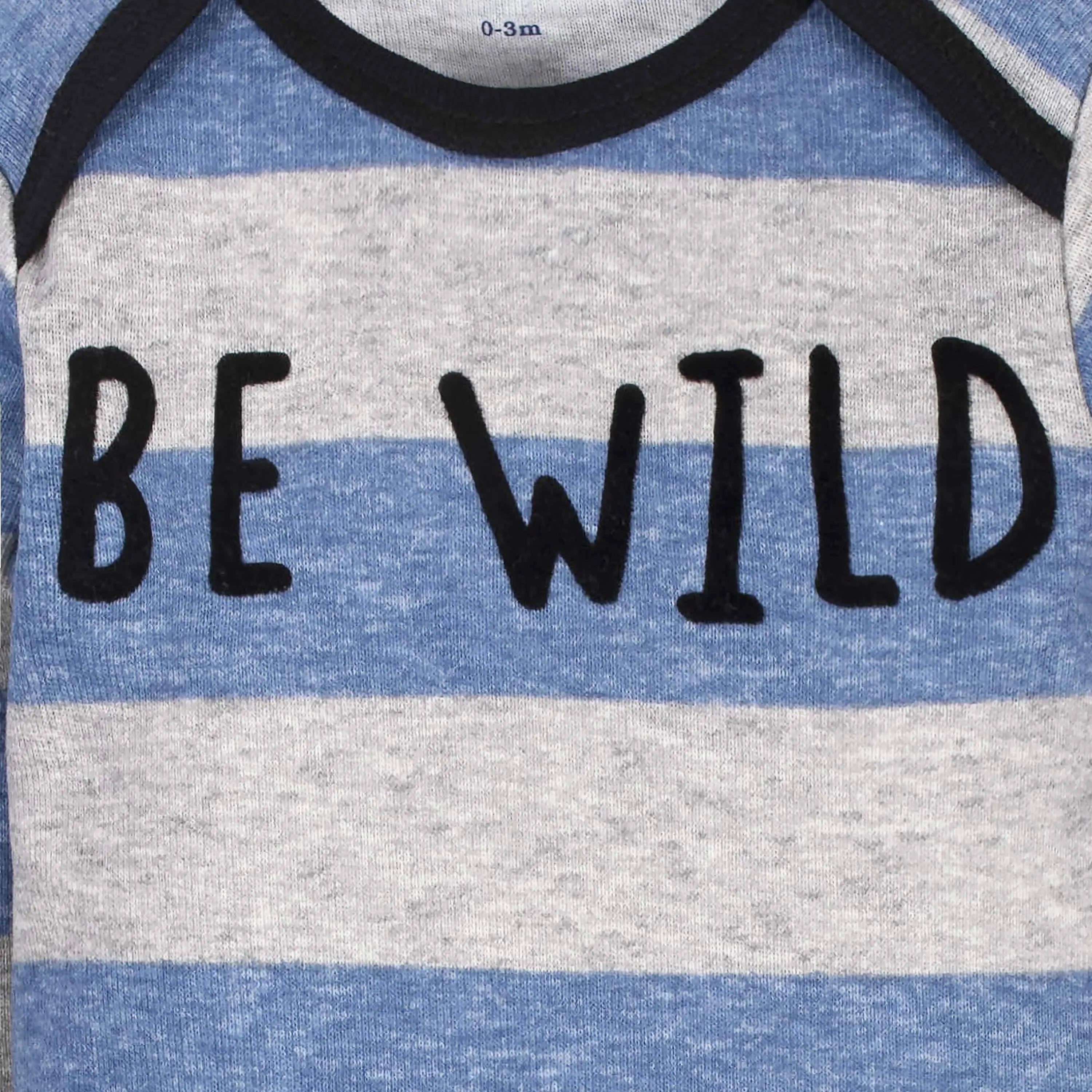 5-Pack Baby Boys Raccoon Long Sleeve Onesies Bodysuits