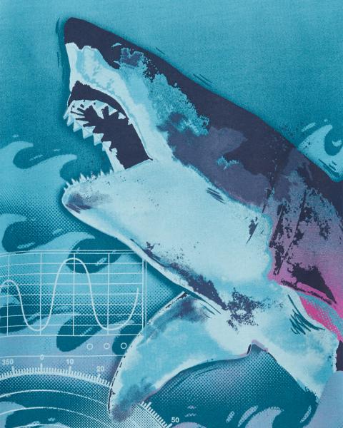 Carter's Shark Jersey Tee