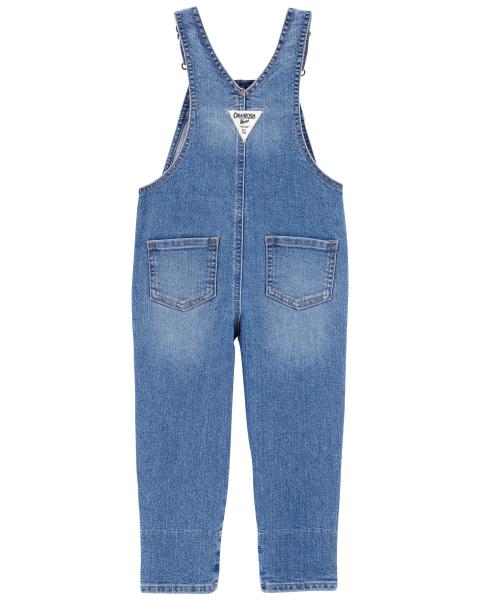 Oshkosh Floral Lined Stretch Denim Overalls with Floral Print Jersey Top